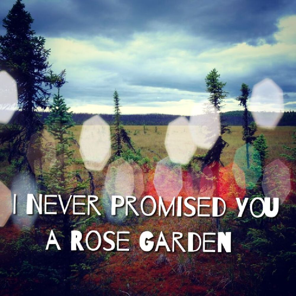 I Never Promised You a Rose&nbsp;Garden