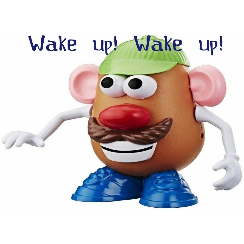 Wake up. Wake&nbsp;up!