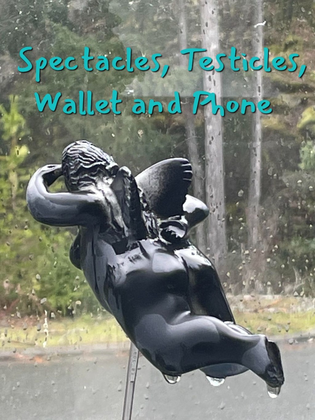 Spectacles, Testicles, Wallet and&nbsp;Phone