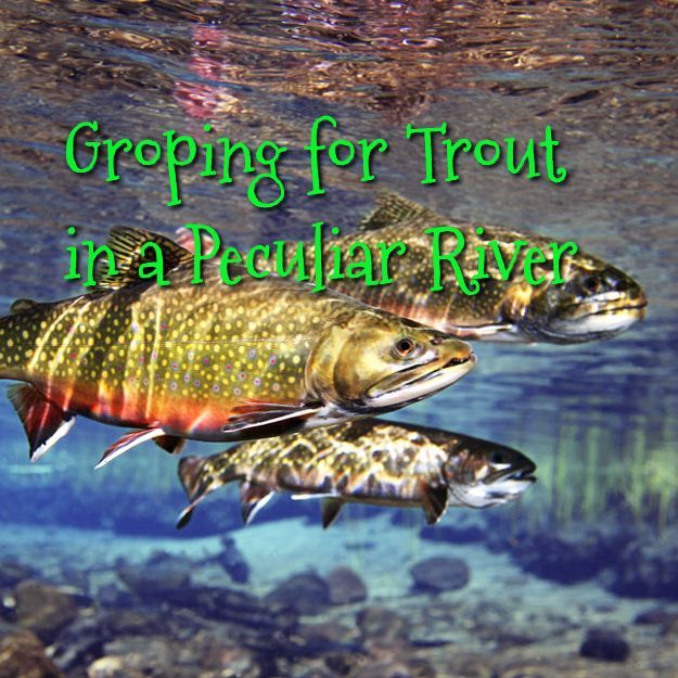 Groping for Trout in a Peculiar&nbsp;River