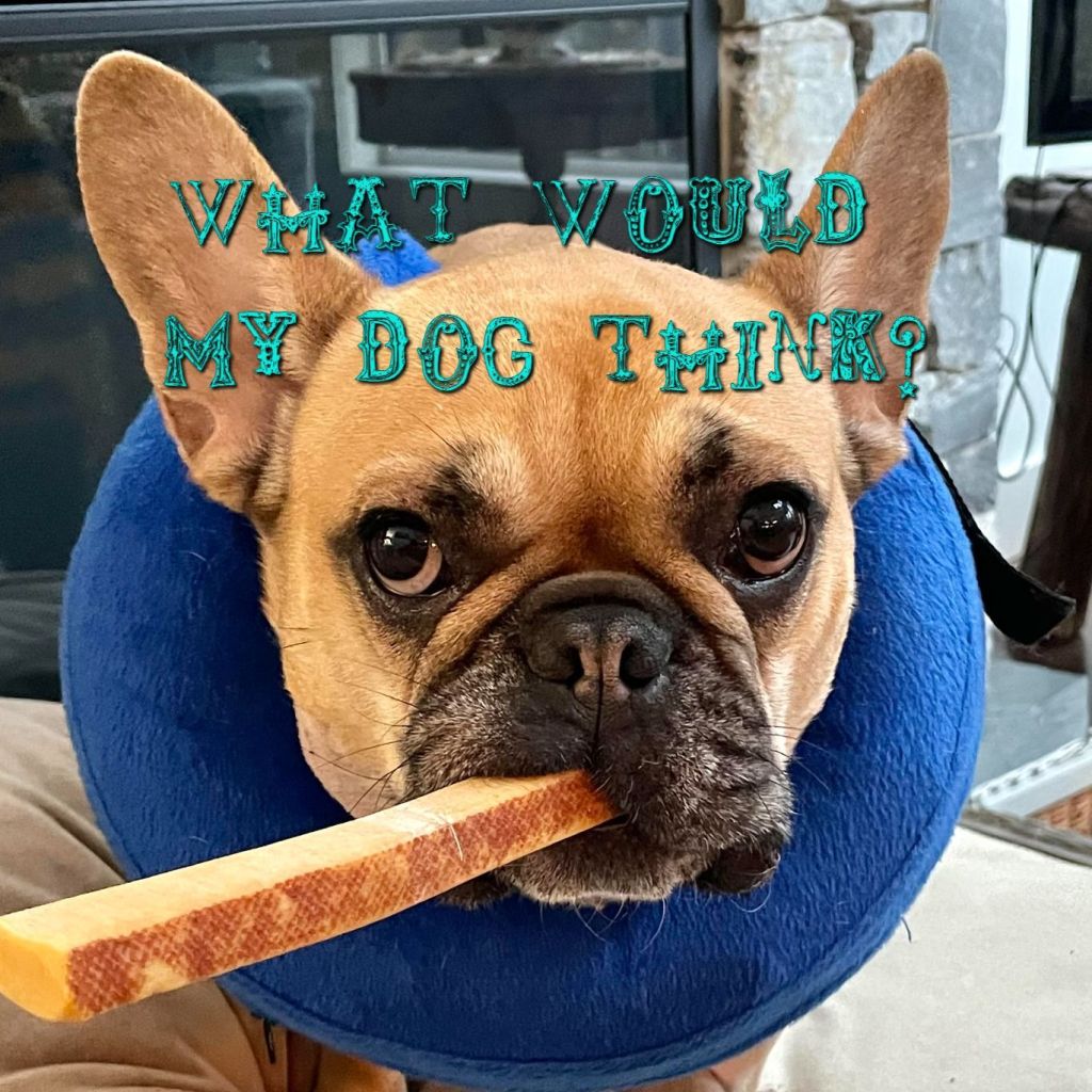 What Would My Dog&nbsp;Think?