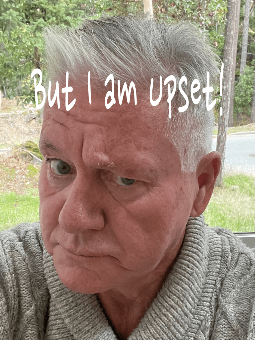 But I Am&nbsp;Upset!