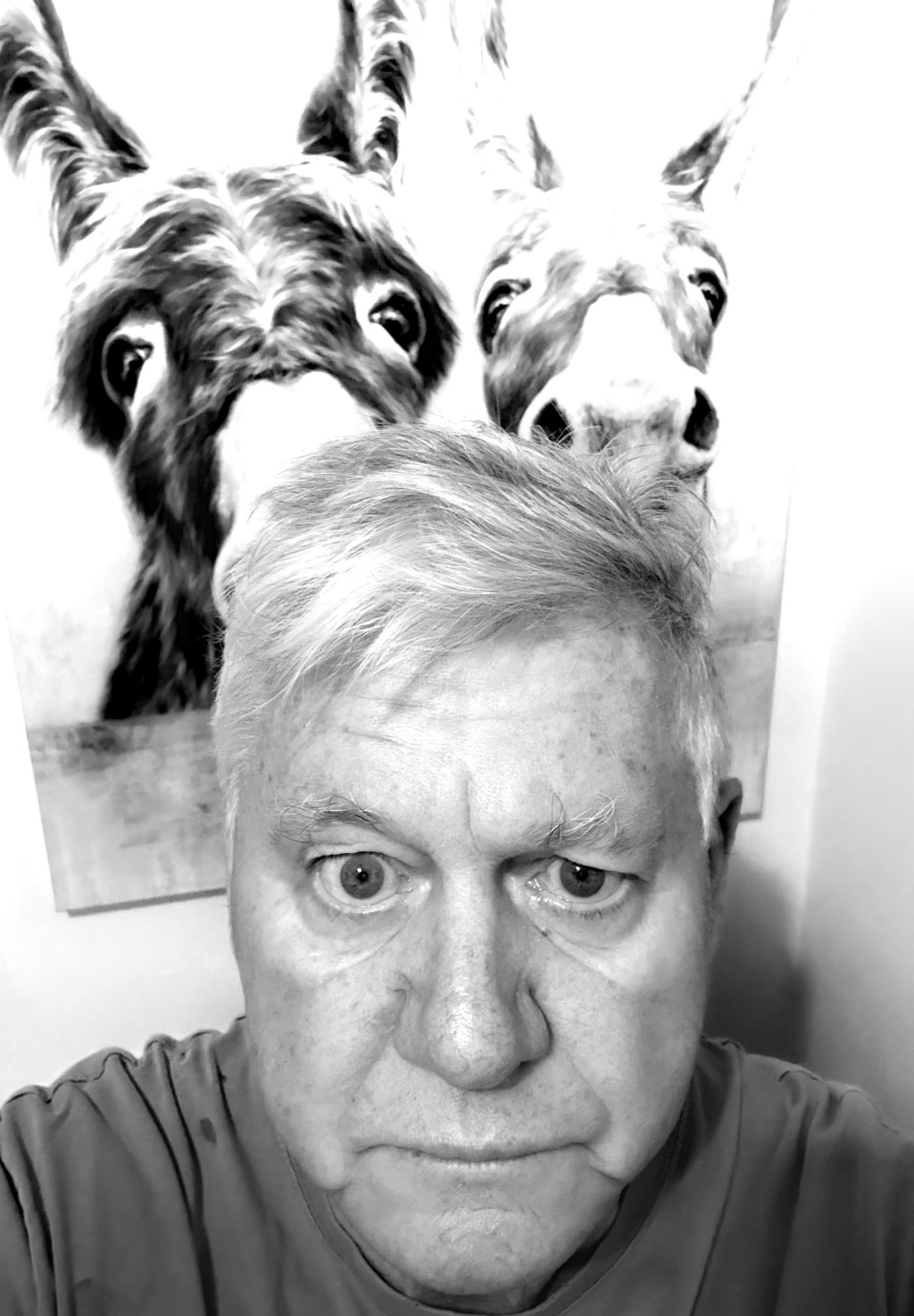 My Resting Bitch&nbsp;Face