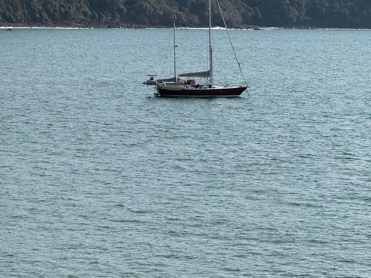 “Phoenix Rising”